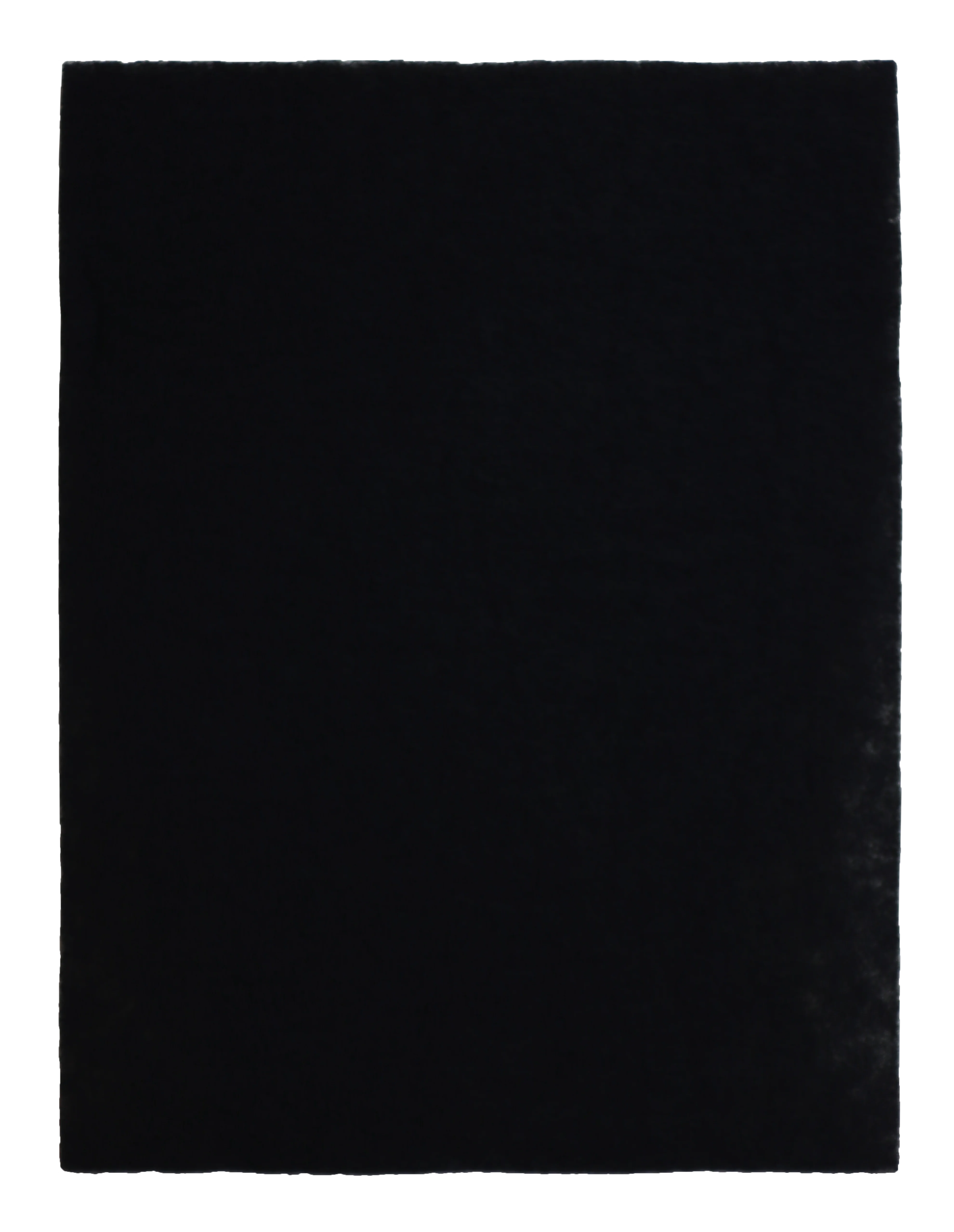 Double Deodorization Filter (AP-1523D)